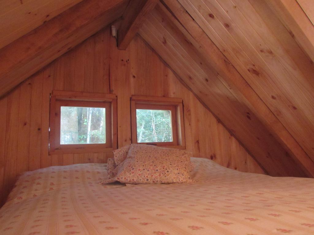 Cabana Rustica Patagonia Chilena Conaripe Room photo