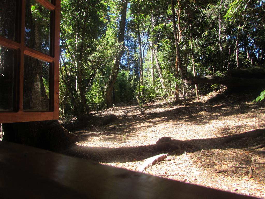Cabana Rustica Patagonia Chilena Conaripe Room photo