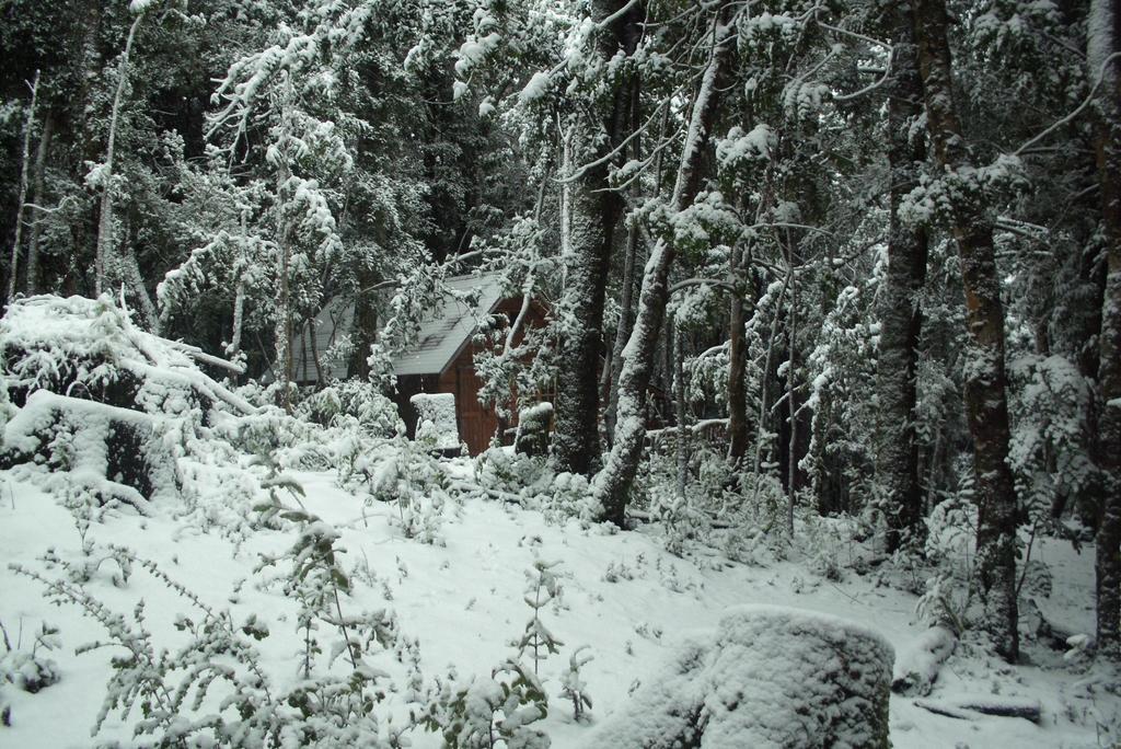 Cabana Rustica Patagonia Chilena Conaripe Room photo