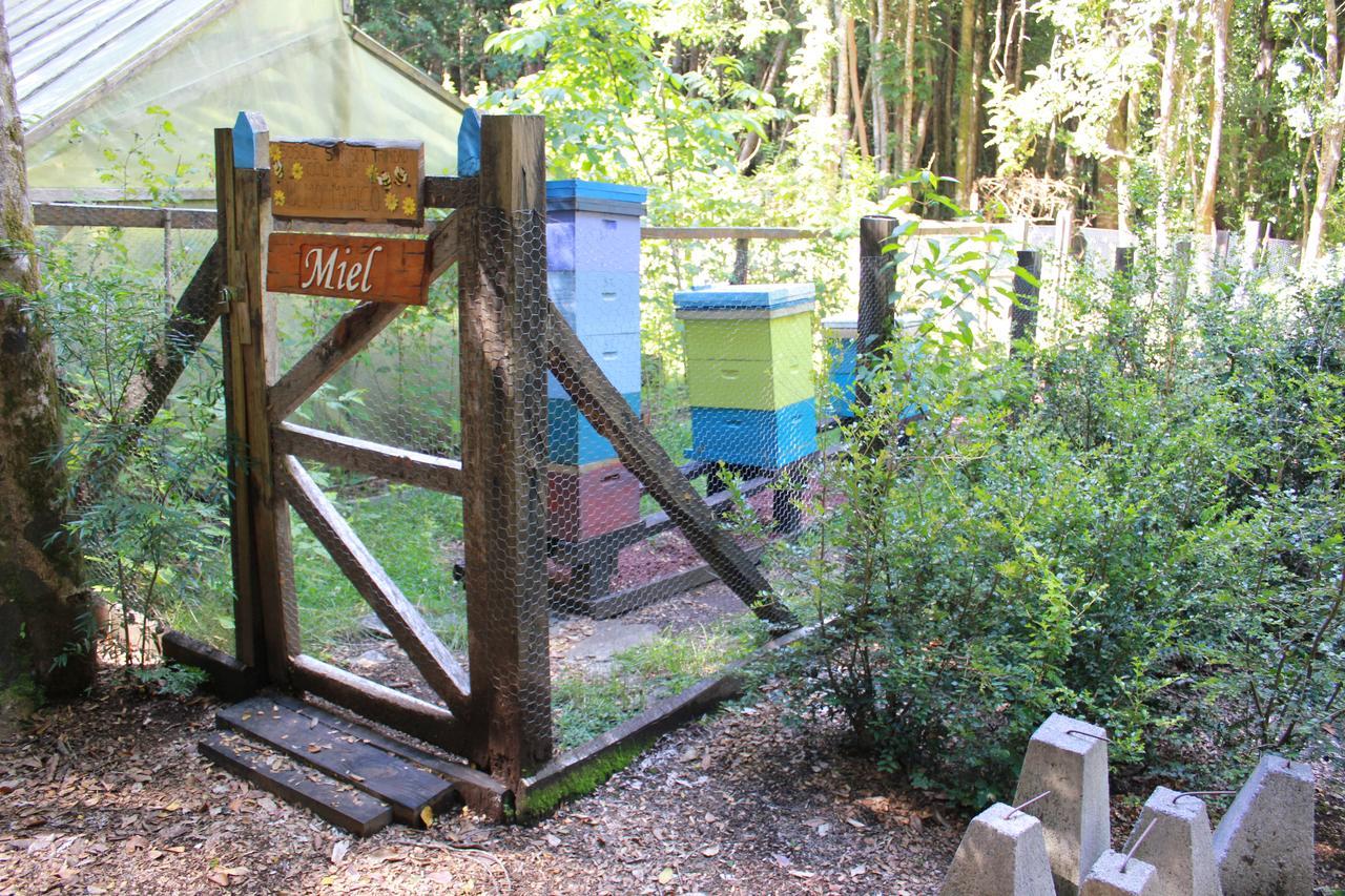 Cabana Rustica Patagonia Chilena Conaripe Exterior photo