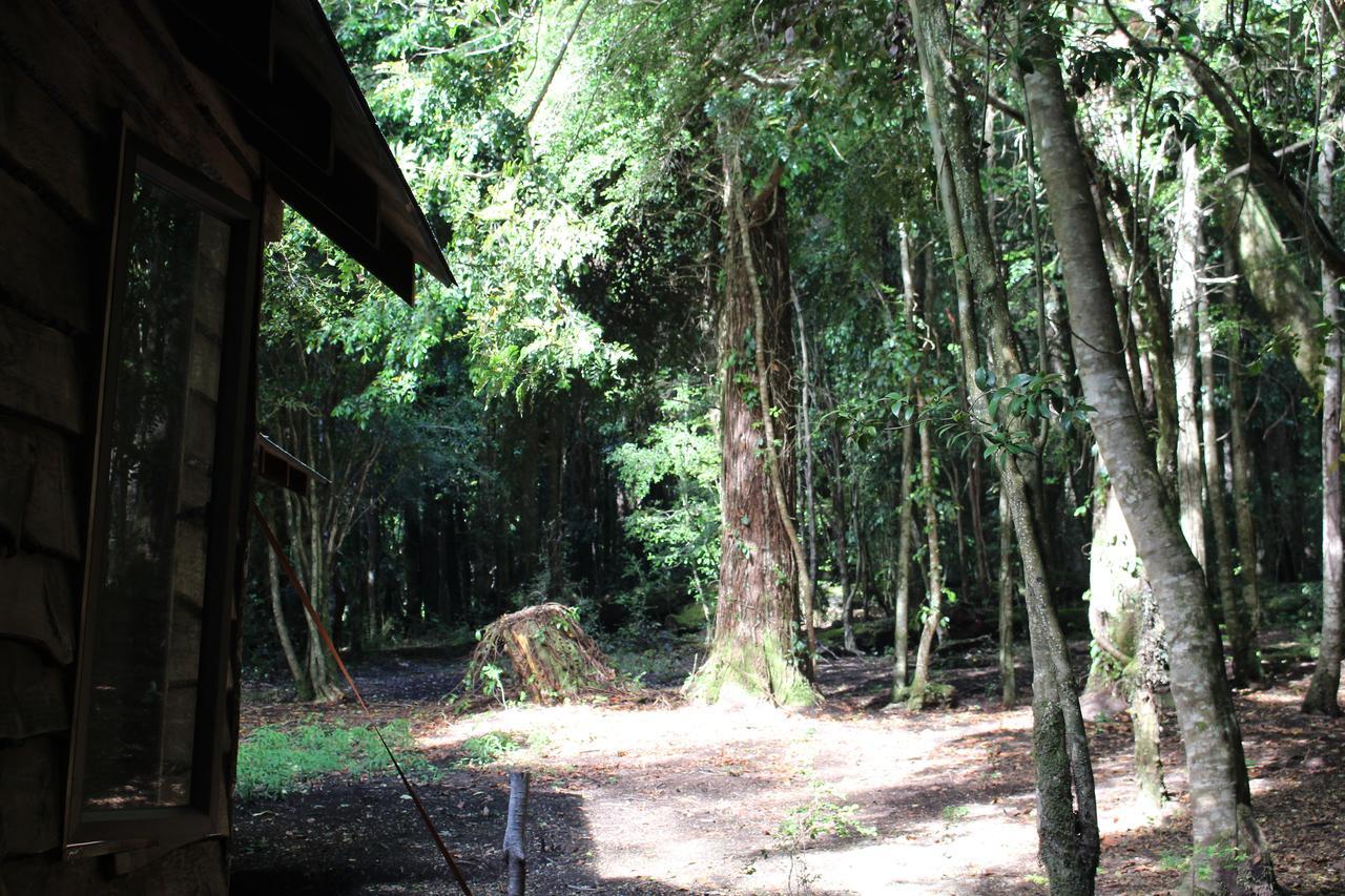 Cabana Rustica Patagonia Chilena Conaripe Exterior photo