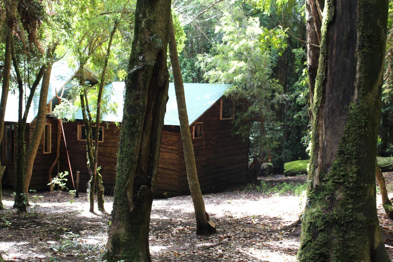 Cabana Rustica Patagonia Chilena Conaripe Exterior photo