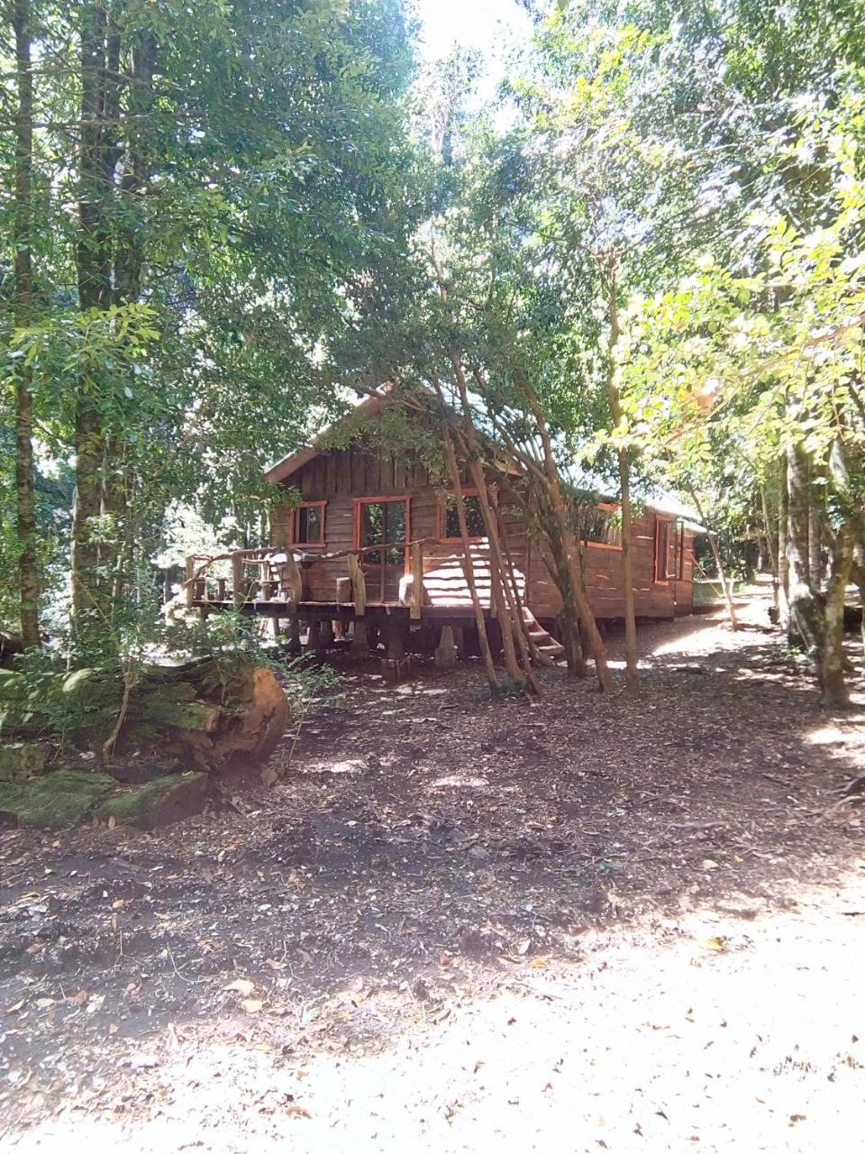 Cabana Rustica Patagonia Chilena Conaripe Exterior photo